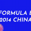 4 – 2014 fe china