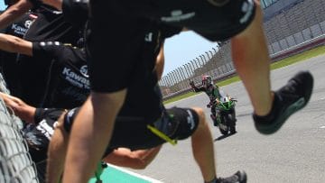 08233_DCP_R3_Action