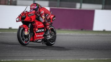 pecco